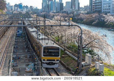 Tokyo, Japan - March 25 2018: Cherry Blossom Around Sotobori Park, Tokyo, Japan.
Sotobori Park Is Fa