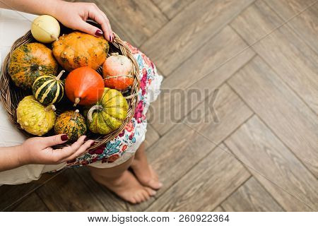 Young Woman In White Dress Holding A Basket With Decorative Pumpkins On Her Lap.