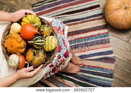 Young Woman In White Dress Holding A Basket With Decorative Pumpkins On Her Lap.