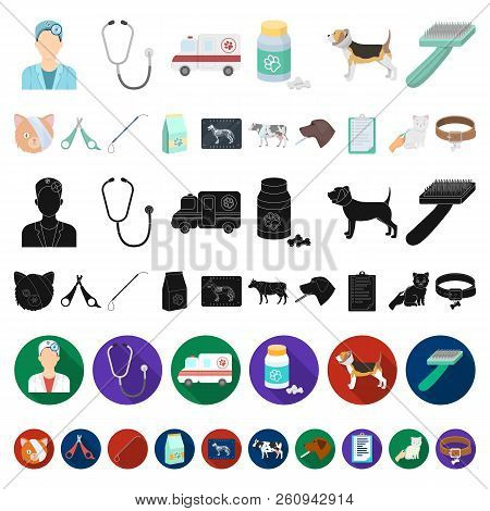 Veterinary Clinic Cartoon Icons In Set Collection For Design. Treatment Of A Pet Vector Symbol Stock