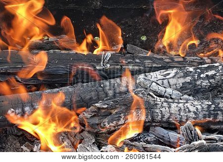 Beautiful Red Flame From Slice Wood, Dark Grey Black Coals Inside Metal Brazier. Wood Burning In The