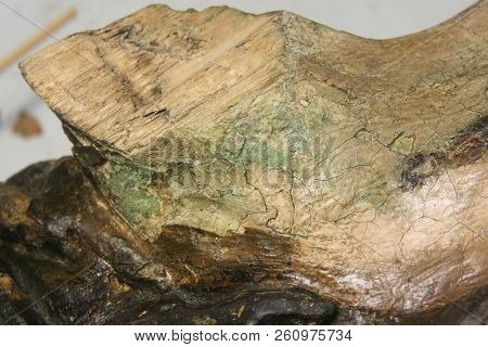 Restoration: Close Up. Conservation Of Paintings. Conservation Of Sculptures