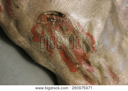 Restoration: Close Up. Conservation Of Paintings. Conservation Of Sculptures