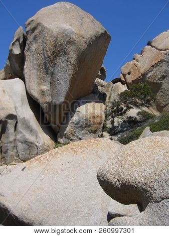 Granite Rocks With Mediterranean Vegetation, Capo Testa, Santa Teresa Gallura, Italy