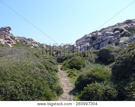 Granite Rocks With Mediterranean Vegetation, Capo Testa, Santa Teresa Gallura, Italy