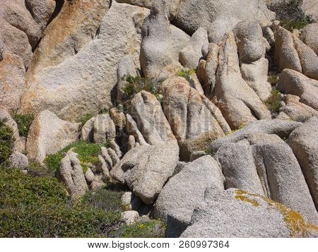 Granite Rocks With Mediterranean Vegetation, Capo Testa, Santa Teresa Gallura, Italy