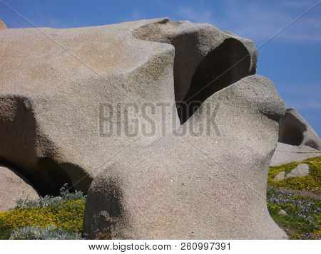 Granite Rocks With Mediterranean Vegetation, Capo Testa, Santa Teresa Gallura, Italy
