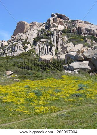 Granite Rocks With Mediterranean Vegetation, Moon's Valley, Capo Testa, Santa Teresa Gallura, Italy