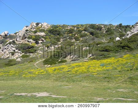 Granite Rocks With Mediterranean Vegetation, Moon's Valley, Capo Testa, Santa Teresa Gallura, Italy