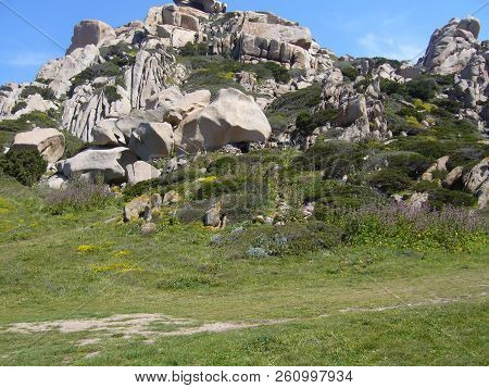 Granite Rocks With Mediterranean Vegetation, Moon's Valley, Capo Testa, Santa Teresa Gallura, Italy
