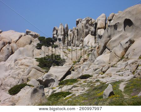 Granite Rocks With Mediterranean Vegetation, Moon's Valley, Capo Testa, Santa Teresa Gallura, Italy