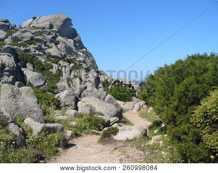 Granite Rocks With Mediterranean Vegetation, Moon's Valley, Capo Testa, Santa Teresa Gallura, Italy