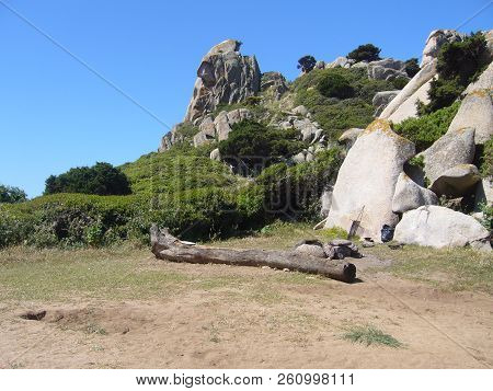 Granite Rocks With Mediterranean Vegetation, Moon's Valley, Capo Testa, Santa Teresa Gallura, Italy