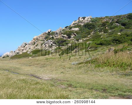 Granite Rocks With Mediterranean Vegetation, Moon's Valley, Capo Testa, Santa Teresa Gallura, Italy