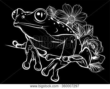 Vector Frog With Flower In Black Background