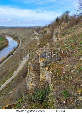 Tourist Sight Hessigheimer Felsengaerten Near River Neackar