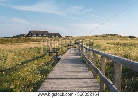 Summer Evening Landscape On Sylt Island With Wooden Walkway Over Dunes Covered In Tall Grass And Mos
