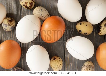 Easter. Chicken And Quail Eggs Of Natural Colors On A Wooden Background. Flat Lay