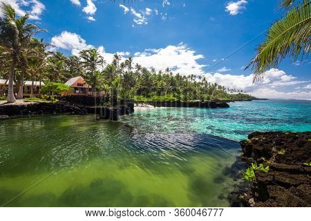Vibrant tropical beach with palm trees, Upolu, Samoa.