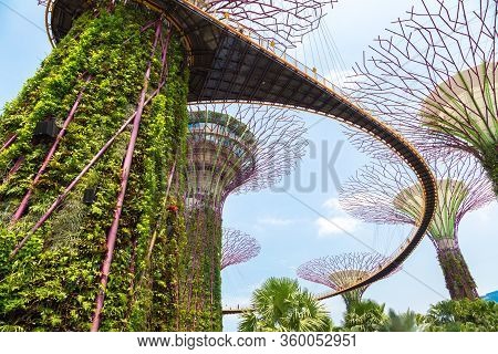 Gardens By The Bay In Singapore