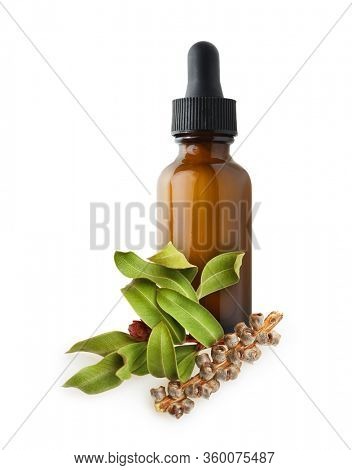 Brown bottle of essential oil and tea tree, melaleuca twig with dried leaves and seeds isolated on white background.