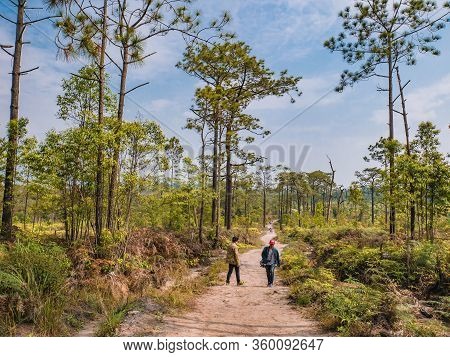 Loei/thailand-17 Feb 2019:unacquainted Tourist Waiting On Nature Trail At Phu Kradueng Mountain Nati