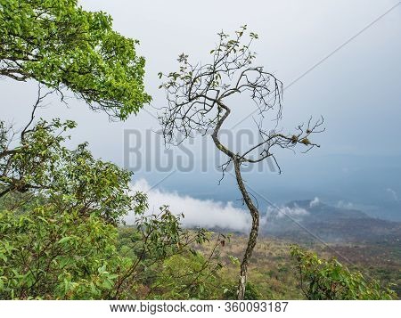 Beautiful Scenery View From Phu Kradueng Mountain National Park In Loei City Thailand.phu Kradueng M