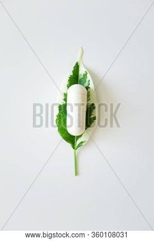 Probiotic Supplement Capsule On Plant Leaf On White Background, Top View. Concept Alternative Medici