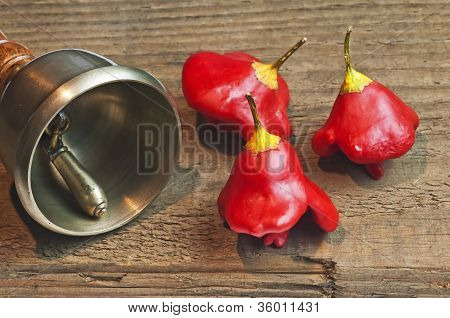 Vescovi coronano Chili