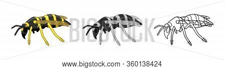 Side View Wasps Set In Different Styles Isolated Illustration On White Background