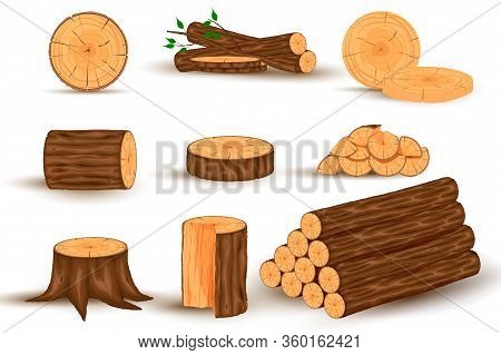 Wood Material And Manufactured Products Set With Tree Trunk Branches Planks. Vector Isolated Set