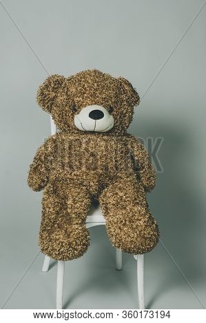 Teddy Bear. Brown Teddy Bear On Gray Background. A Plush Brown Shot In A Photo Studio On A Bar Stool