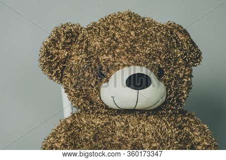 Teddy Bear. Brown Teddy Bear On Gray Background. A Plush Brown Shot In A Photo Studio On A Bar Stool