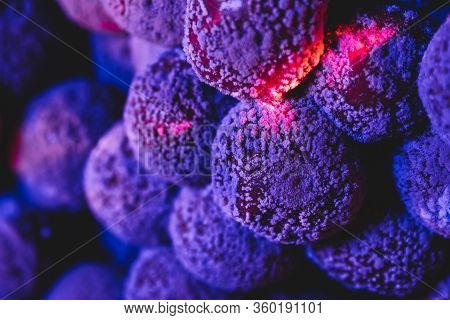 Some Mold Cherry Macro In Purple Light
