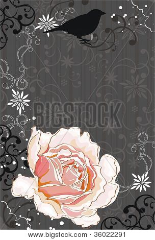 Rose Rose