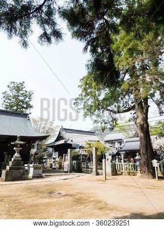 Tokushima, Japan - April 3, 2018: On The Grounds Of Awa Ichinomiya Shrine Opposite Dainichiji, Templ