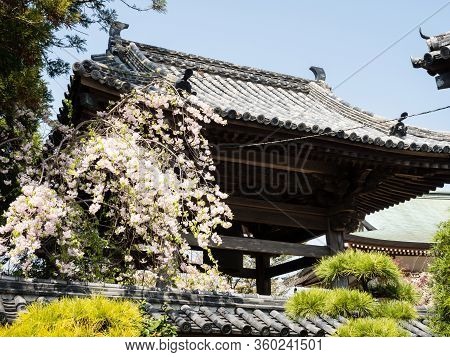 Komatsushima, Japan - April 4, 2018: Bell Tower Of Tatsueji, Temple Number 19 Of Shikoku Pilgrimage,