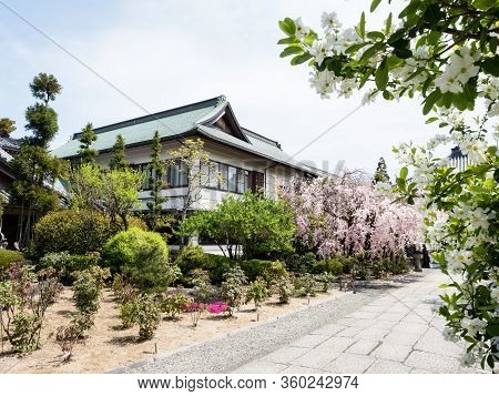 Komatsushima, Japan - April 4, 2018: Cherry Blossoms On The Grounds Of Tatsueji, Temple Number 19 Of