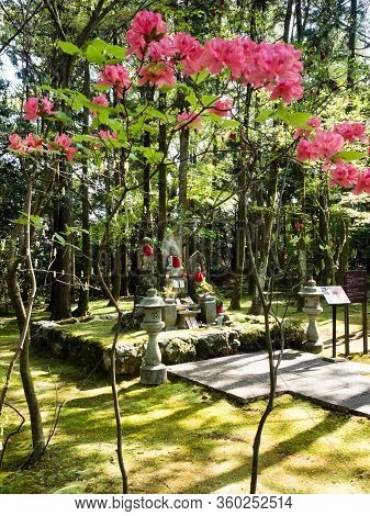 Kochi, Japan - April 6, 2018: Red Azalea Flowers Blooming On The Grounds Of Chikurinji, Temple Numbe