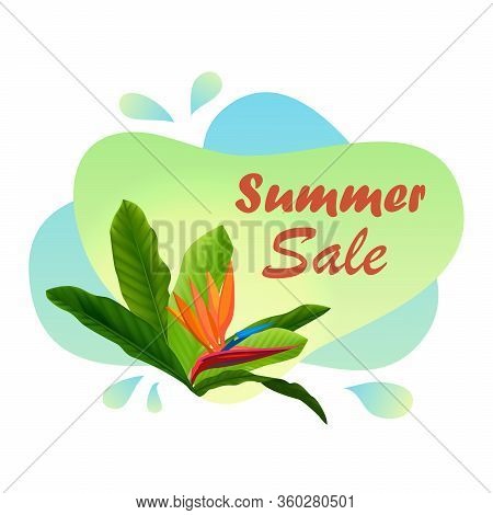 Summer Sale Banners With Tropical Leaves, Flower ,geometric Shape. Place For Text. Template For Post