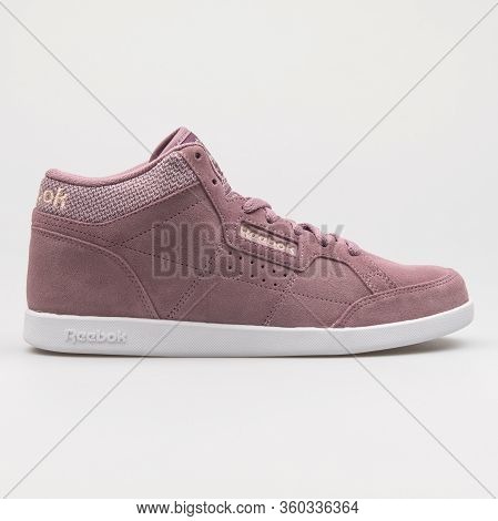 Vienna, Austria - August 16, 2017: Reebok Royal Anfuso Ms Purple Sneaker On White Background.