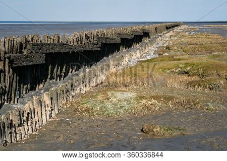 Textures Dry Sea Bottom And Old Dike At Low Tide, Tidal Marsh Along The Shore, Vegetated Mud Flats A