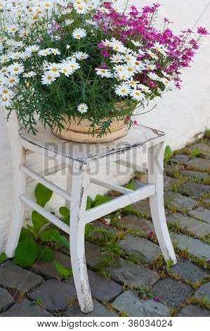 Flower Pot på stolen