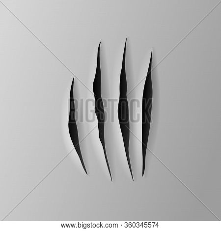 Realistic Torn Grey Paper, Four Claws Scratches With Jagged Edges In Sheet, Vector Illustration.