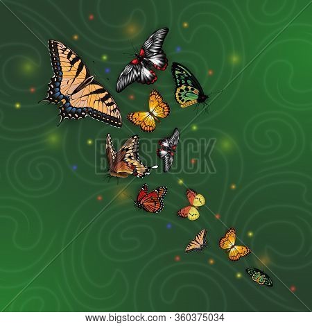 Illustration Of Swallowtail, Silverspot, Monarch, Fritillary, Morpho Butterflies On Abstract Backgro