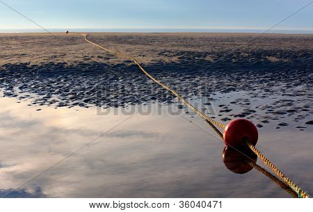 The Buoy