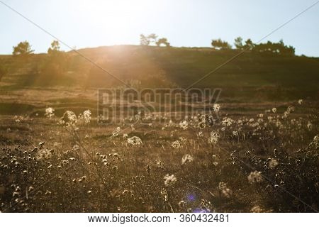 Mountain Field At Golden Hour. Beautiful Landscape During The Golden Hour. Crimea. Ai-petri