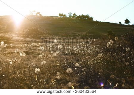 Mountain Meadow At Golden Hour. Beautiful Landscape During The Golden Hour. Crimea. Ai-petri.