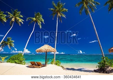Vibrant tropical beach with palm trees, Upolu, Samoa.