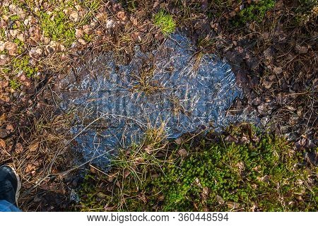 The Water Is Frozen In The Mth. Ice With Grass. It Looks Like A Beautiful Pattern Made By Nature. Ex